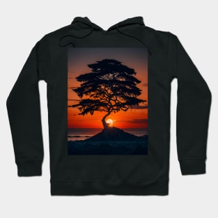 Golden Hour Serenity Hoodie